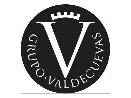 Grupo Valdecuevas