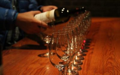 Introducción a la Cata ¡Descubre nuestro Diccionario del Vino! 🍷