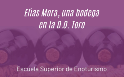 Descubrimos Bodega Elías Mora, en la D.O Toro